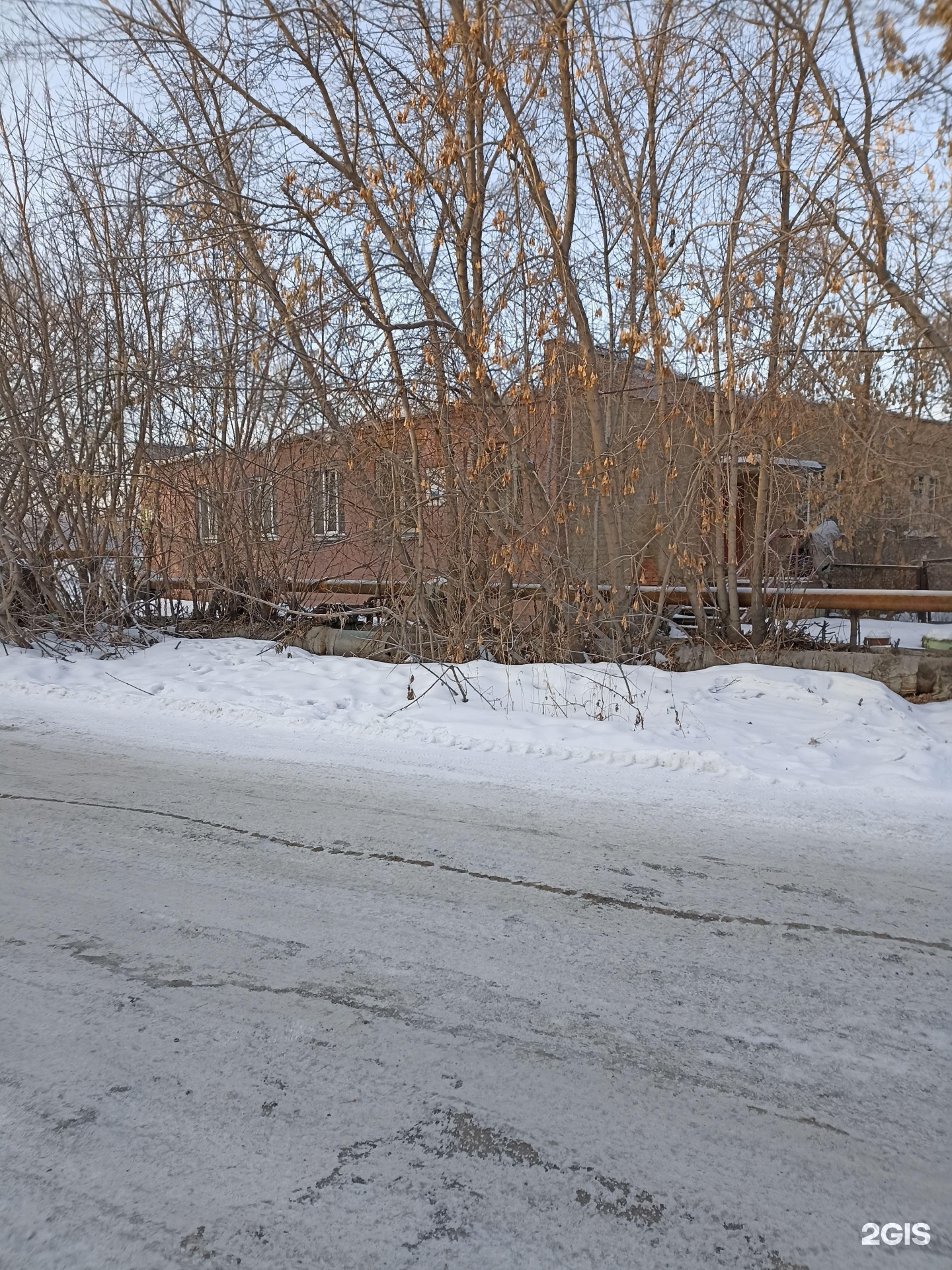 Анкур, спортивно-кинологический центр, разъезд 93 км