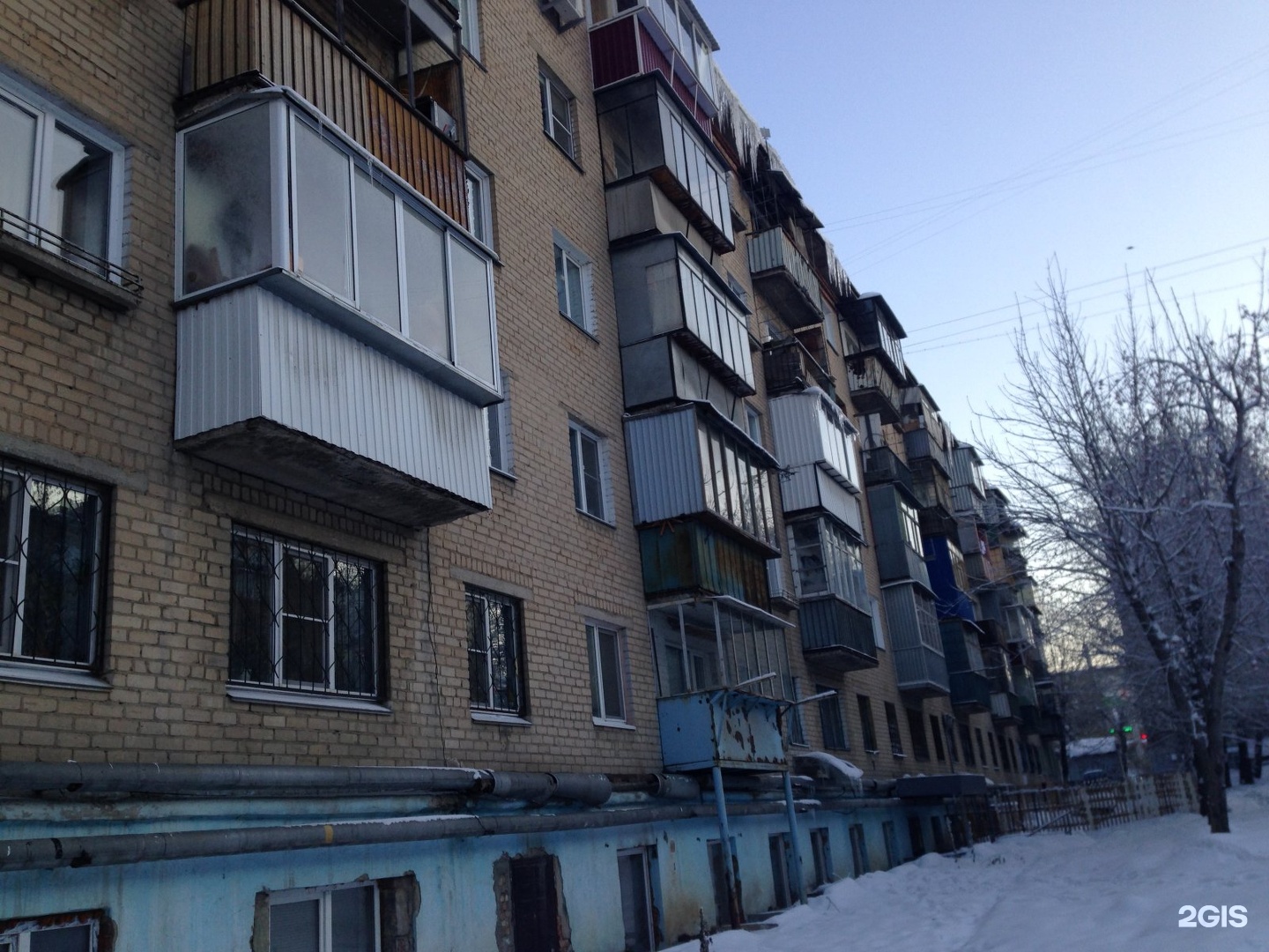 Доберман, ветеринарная клиника