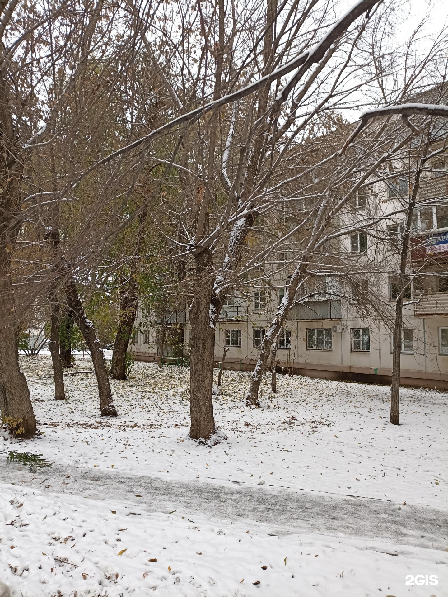 Лапа Надежды, реабилитационный центр зоотерапии