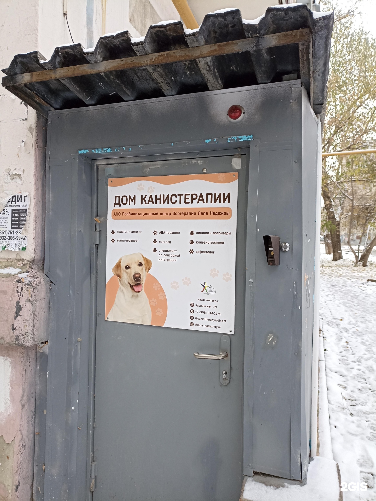 Лапа Надежды, реабилитационный центр зоотерапии — груминг Челябинск