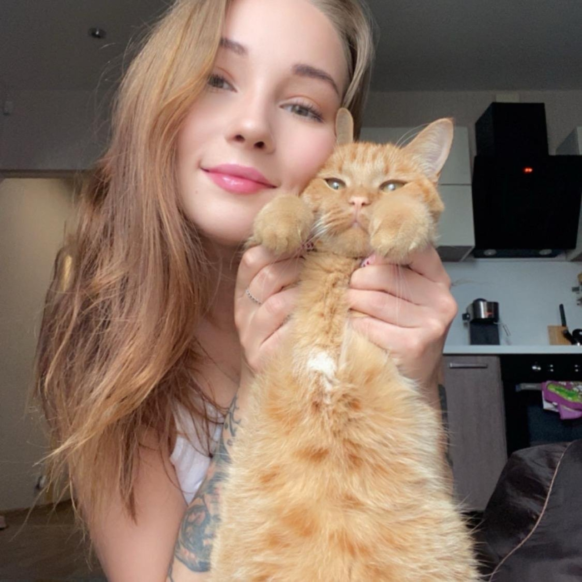 Студия стрижки кошек и мелких пород собак, улица Университетская Набережная, 97а