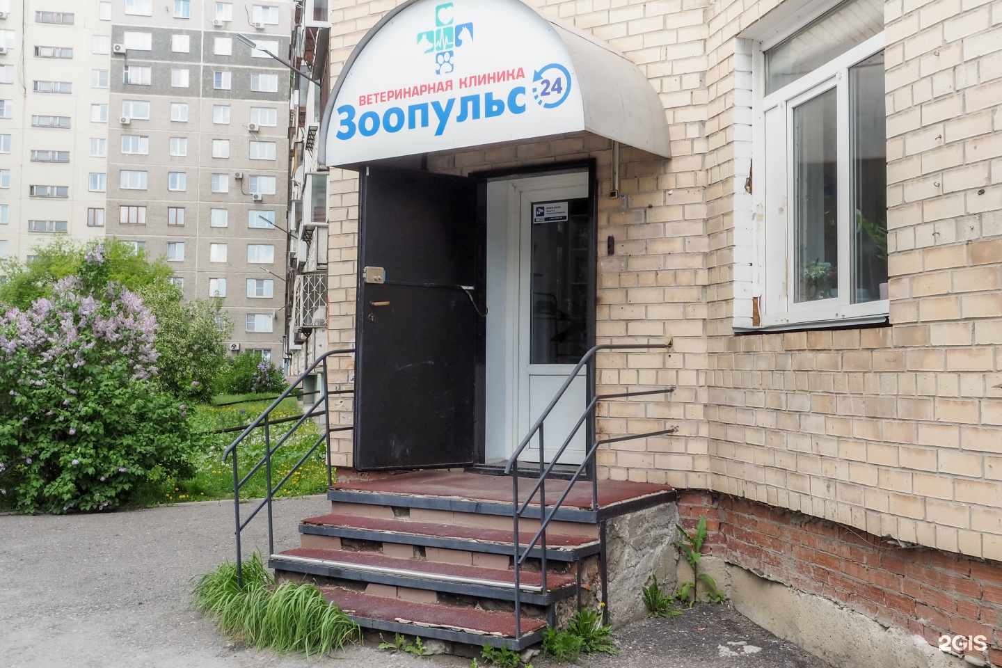 Зоопульс, ветеринарная клиника, улица Братьев Кашириных, 54 — груминг Челябинск