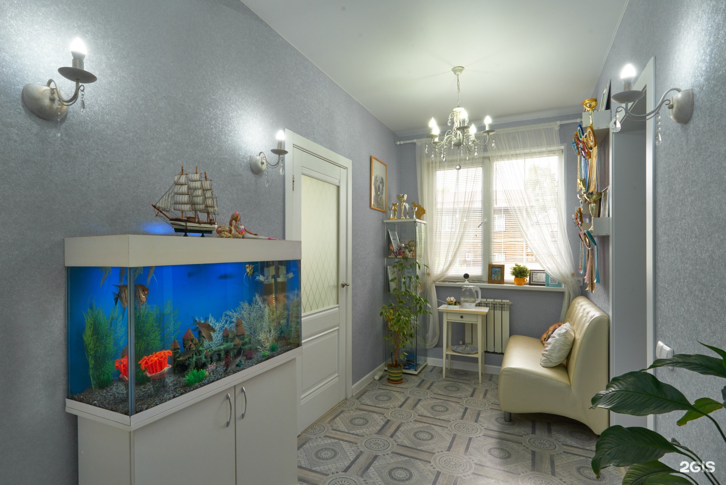 Grooming Zoohotel&amp;Spa — груминг Казань