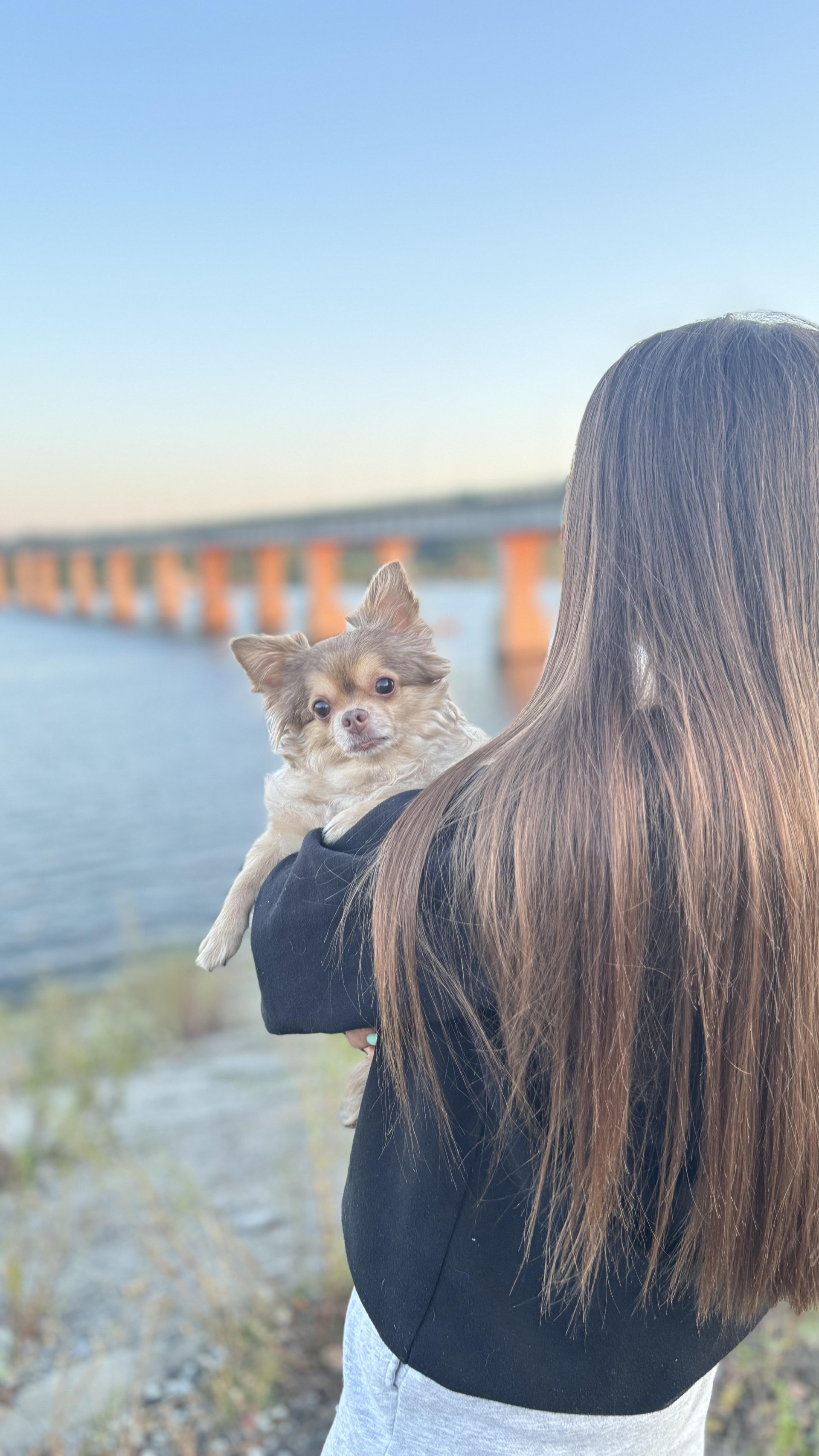 Oh my dog, груминг-салон