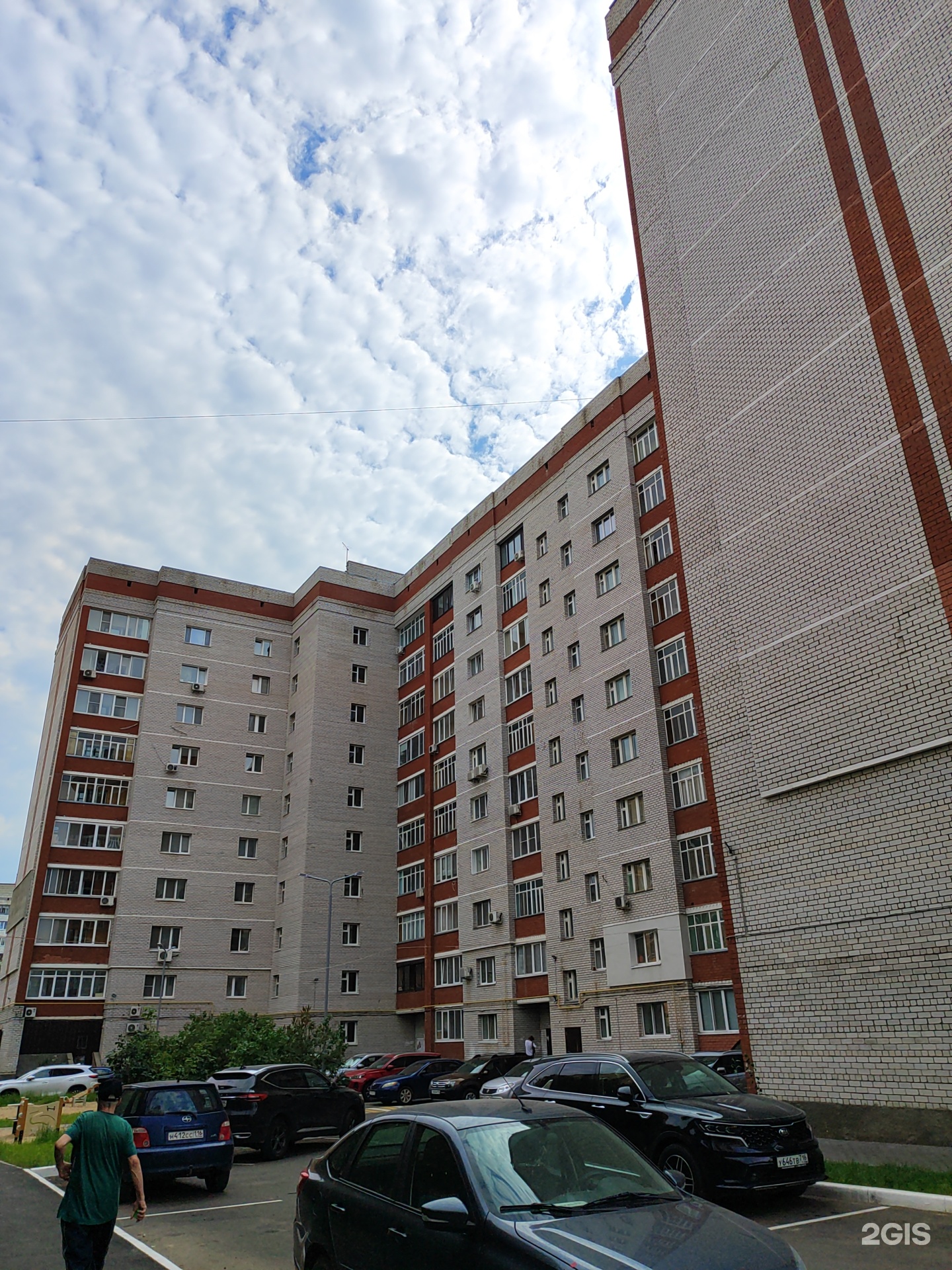 Oh my dog, груминг-салон