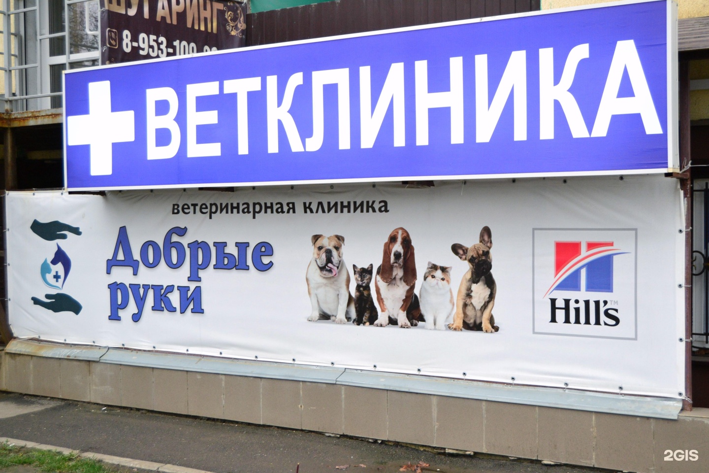 Добрые руки, ветеринарная клиника