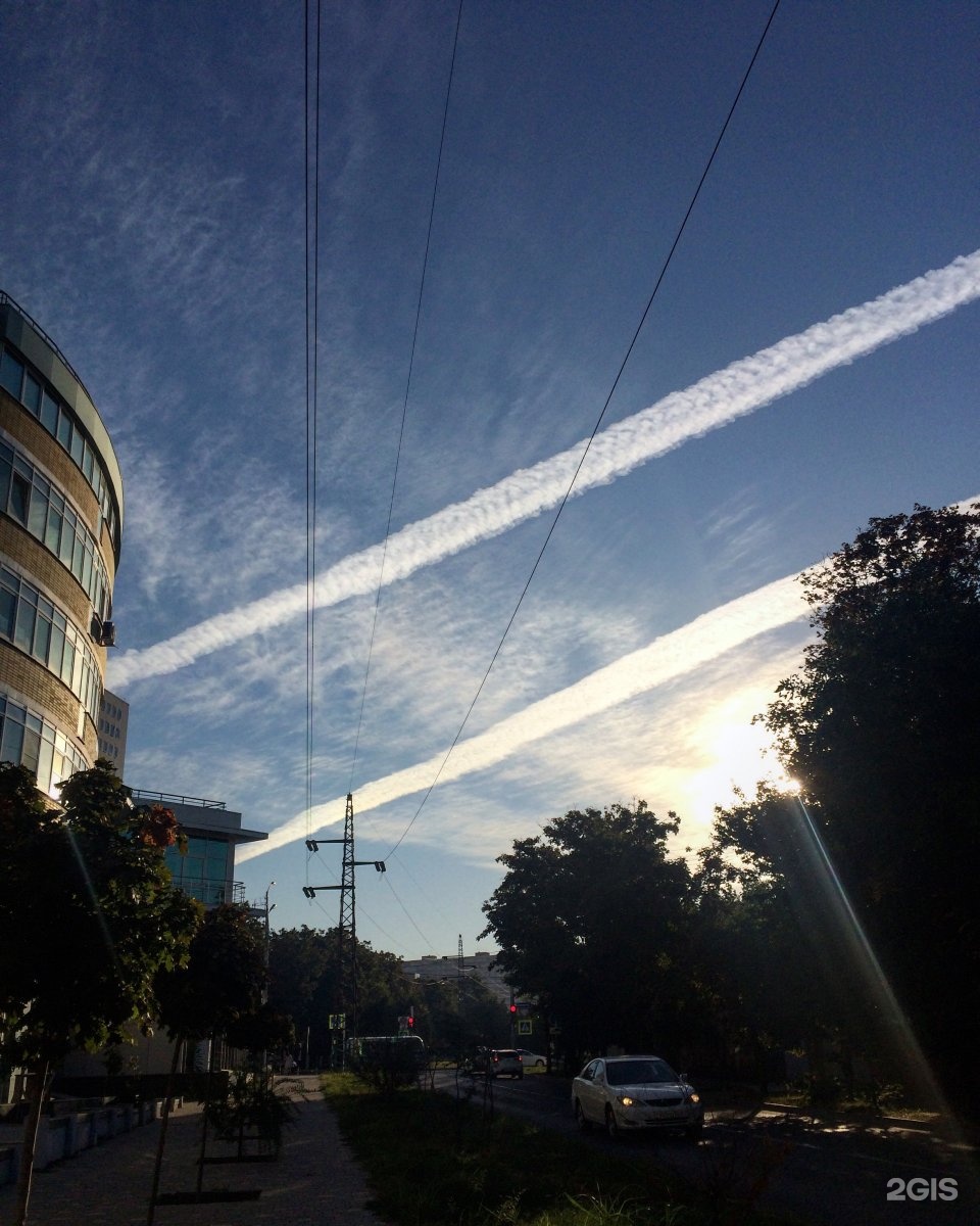 Grimia, студия груминга