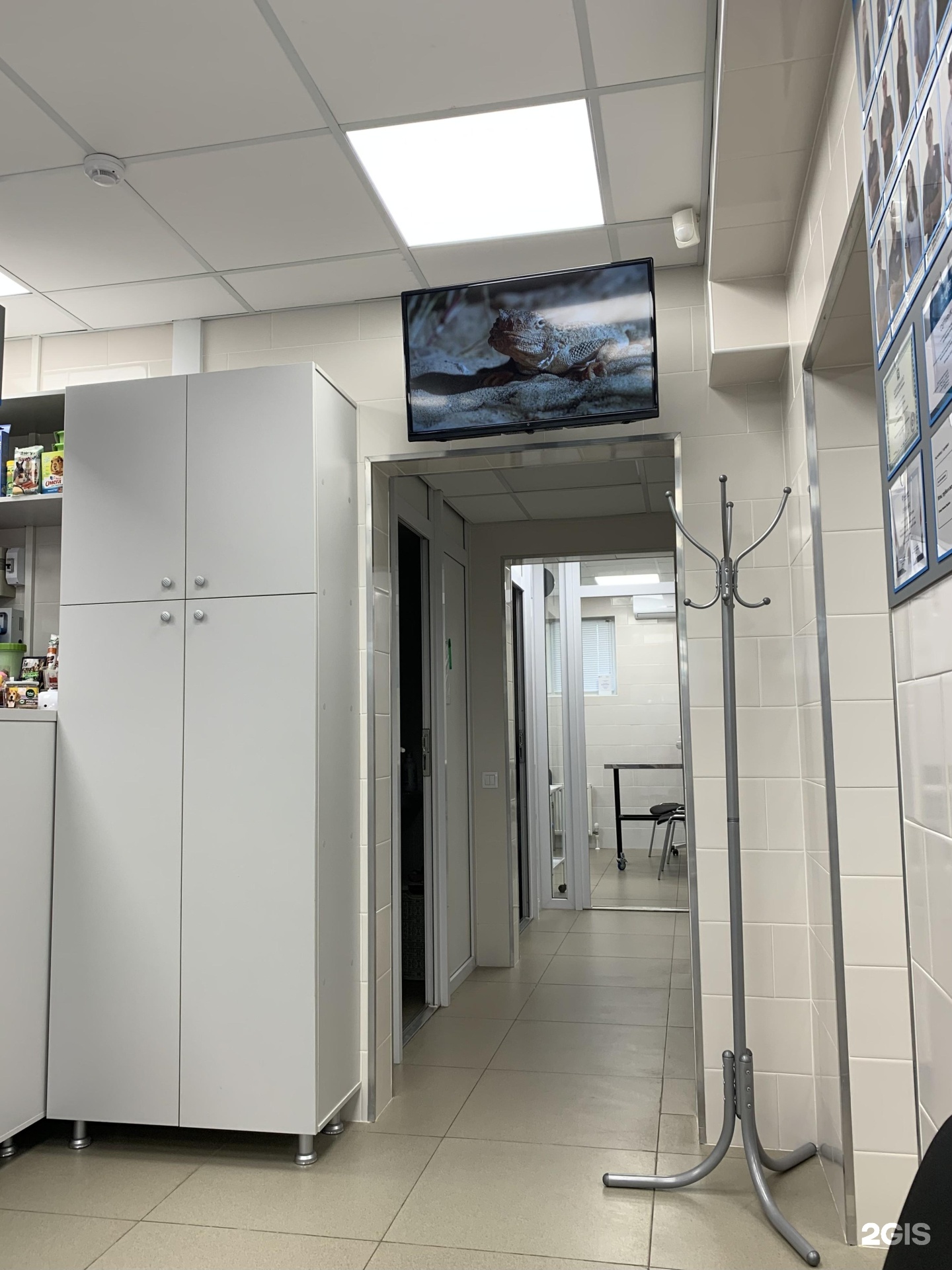 Слон, ветеринарный центр