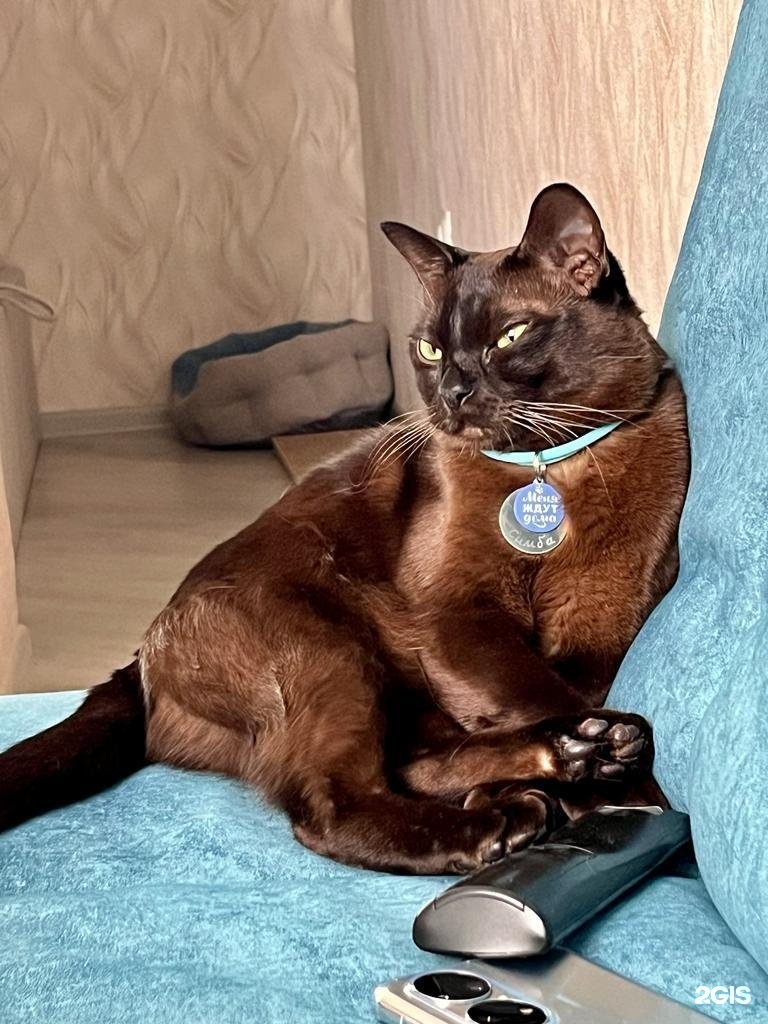 Слон, ветеринарный центр