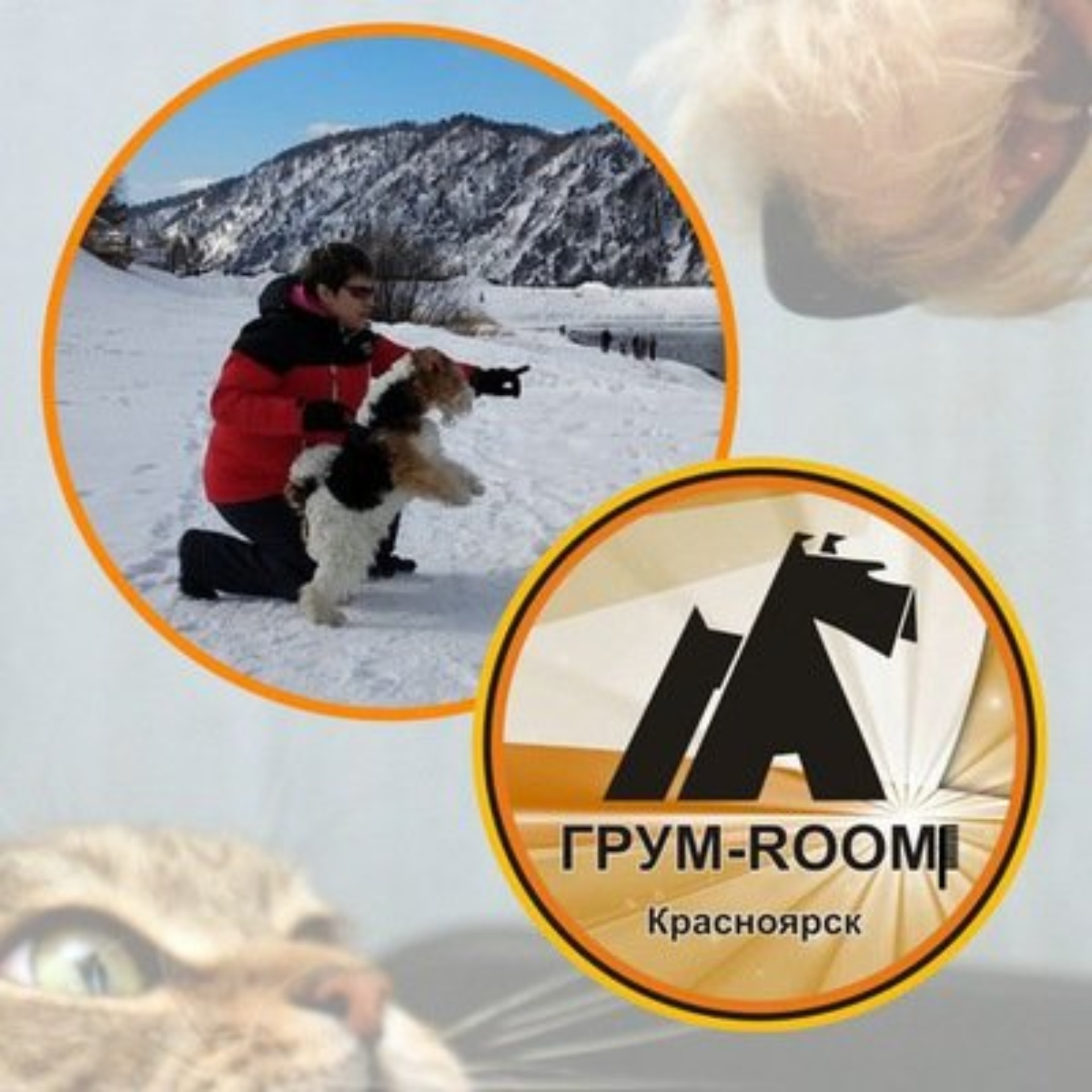 Грум-Room, сибирский центр груминга