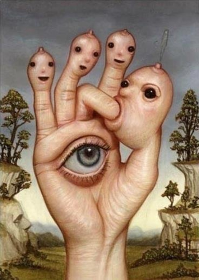 Pet stop, студия груминга