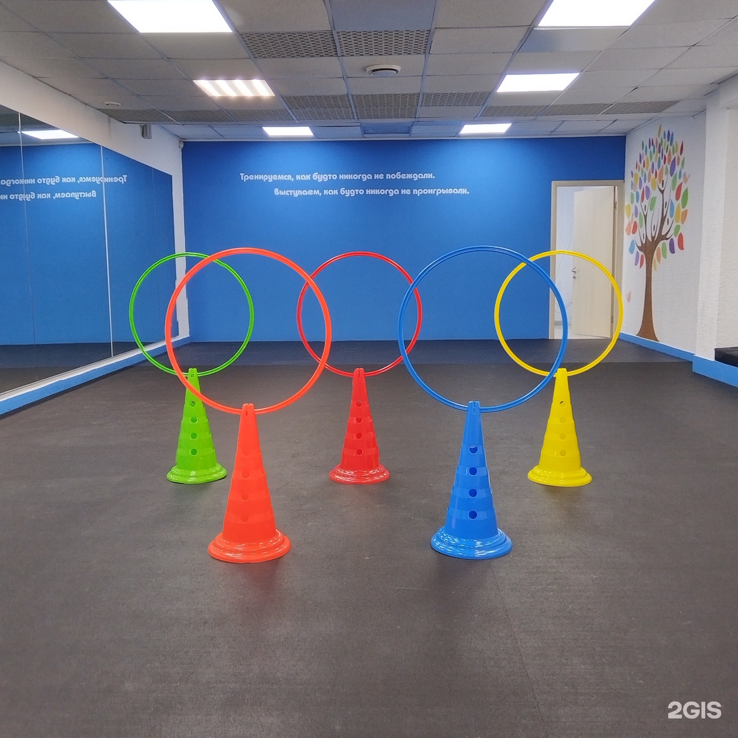 Зал для дрессировки собак — груминг Красноярск