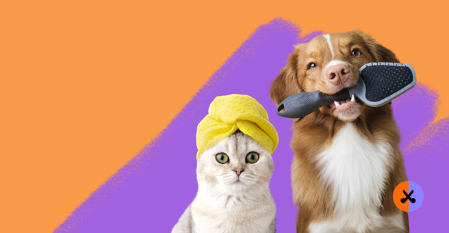 Четыре лапы, сеть груминг-салонов, ТРЦ Европейский — груминг Москва