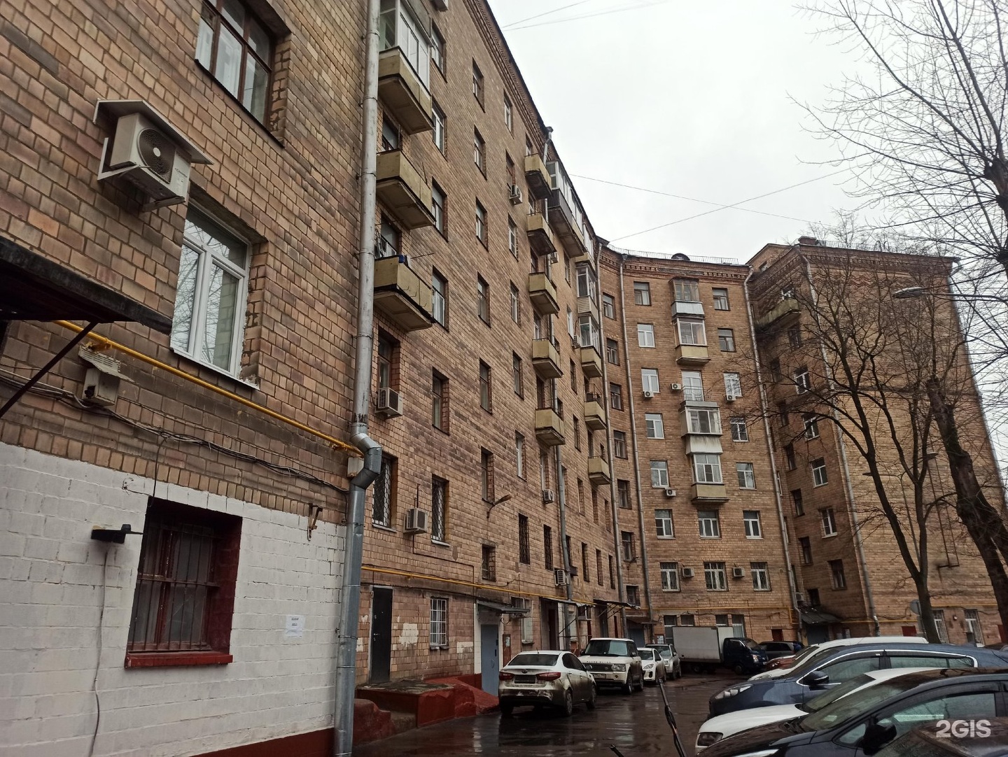 My Sports Dog, зоосалон и хендлинг-зал