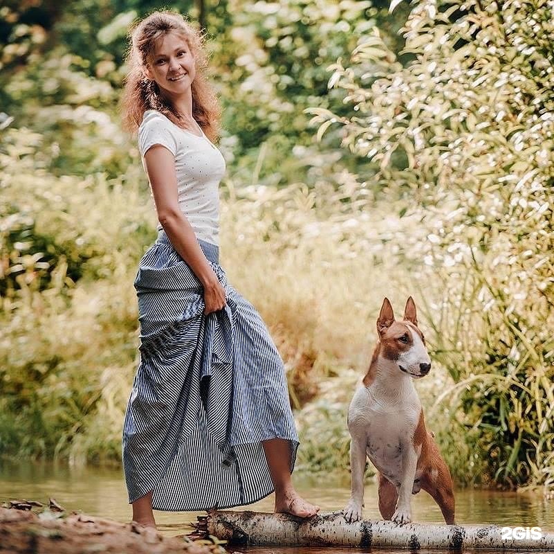 Sobaki club, кинологический центр, Сёрф Плаза — груминг Москва