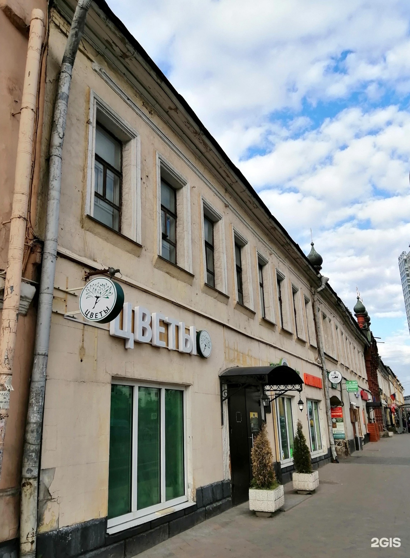 Вет Глобал, сеть ветклиник