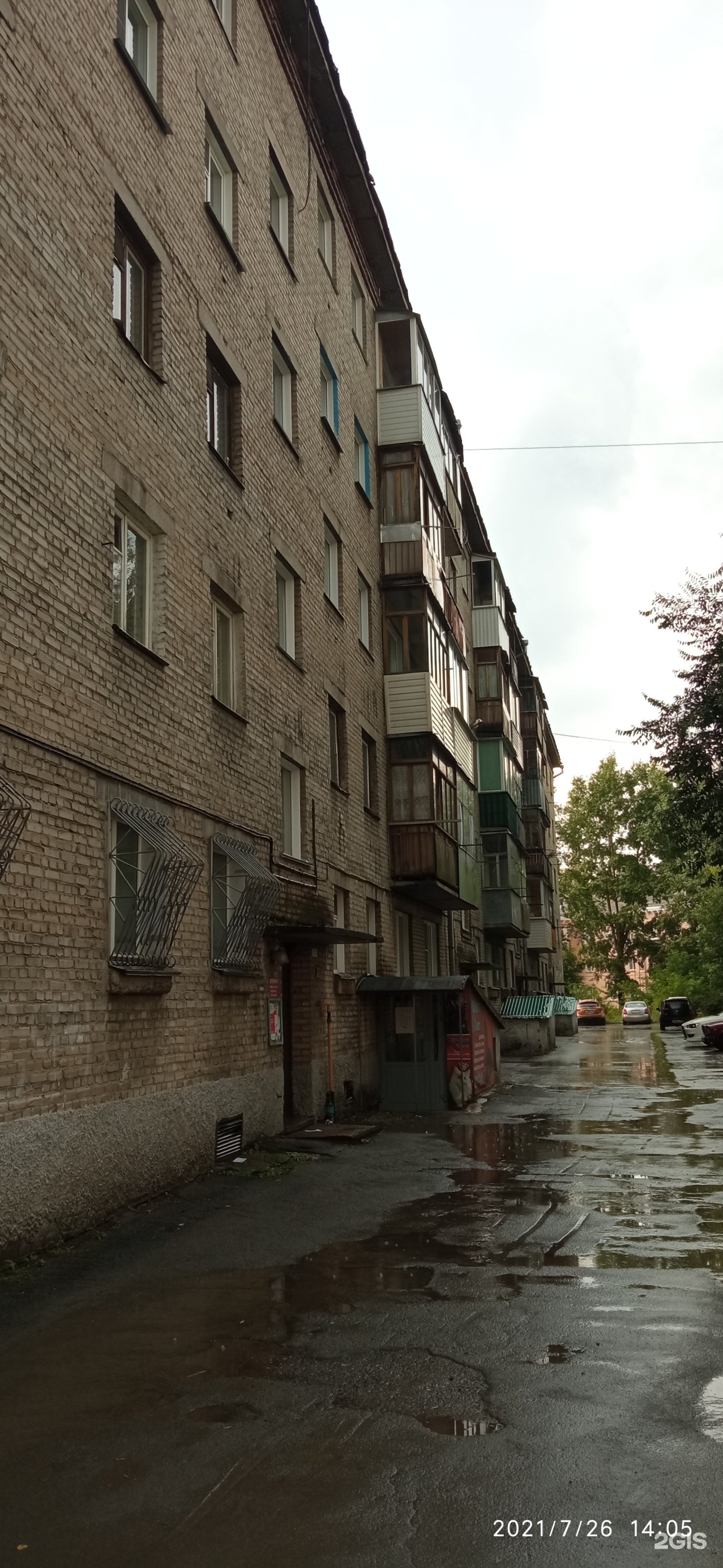 Дрим Тим, зооцентр, Аэропорт