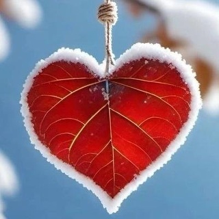 Красный кролик, сеть зоосалонов, Олимпия, Галущака