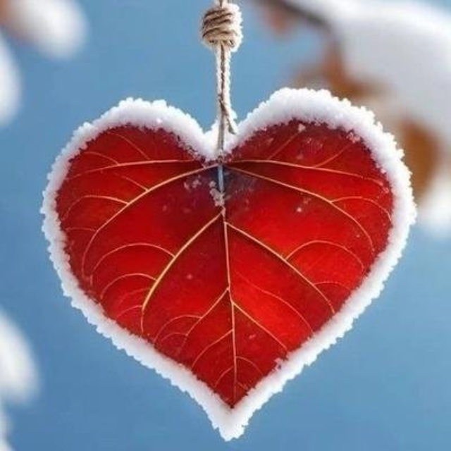 Красный кролик, сеть зоосалонов, Олимпия, Галущака