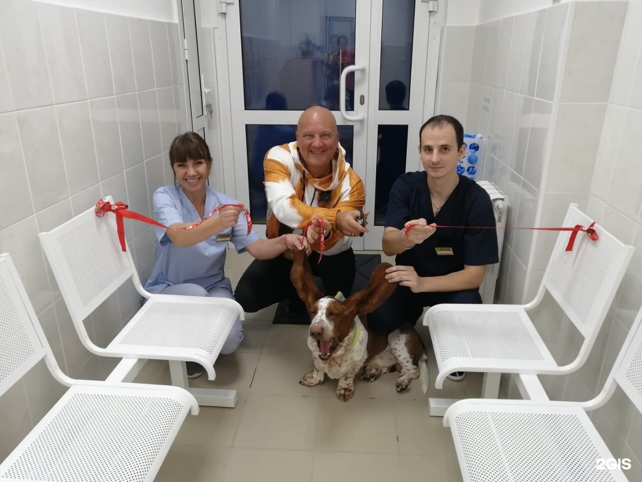 Максивет, ветеринарный центр — груминг Новосибирск