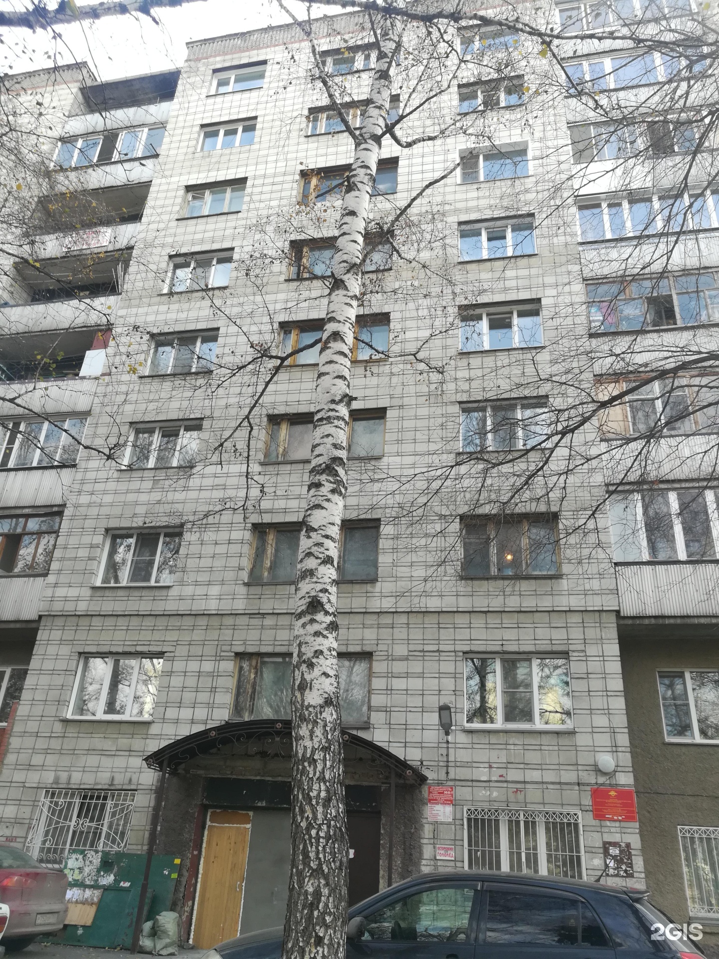 Максивет, ветеринарный центр