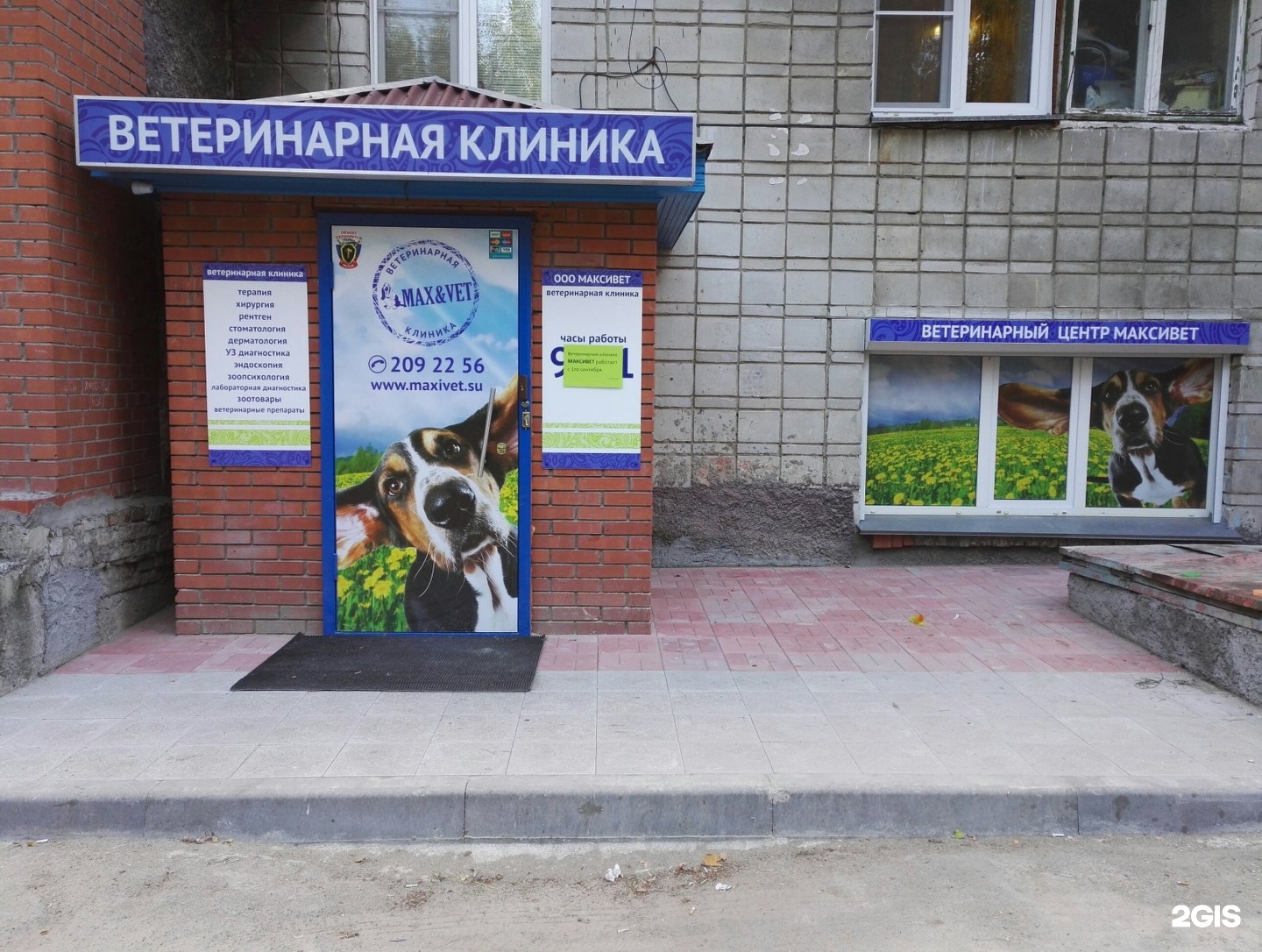 Максивет, ветеринарный центр — груминг Новосибирск