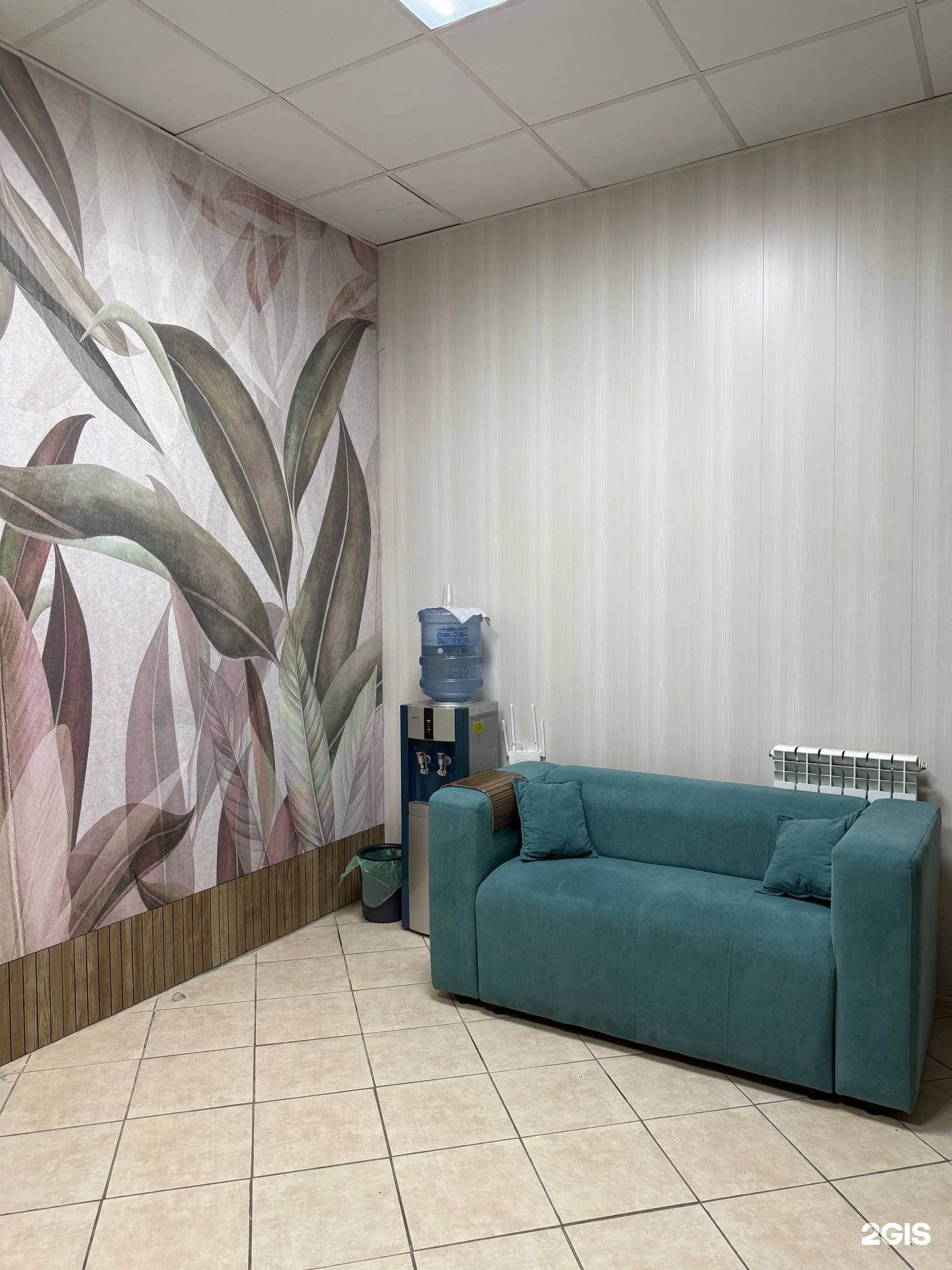 Студия заботы о ваших питомцах — груминг Новосибирск