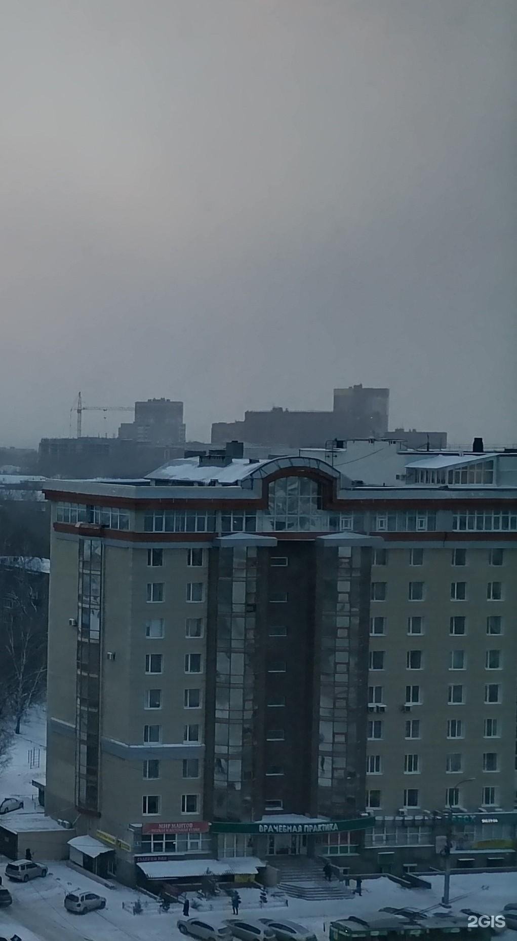 Той, груминг-студия