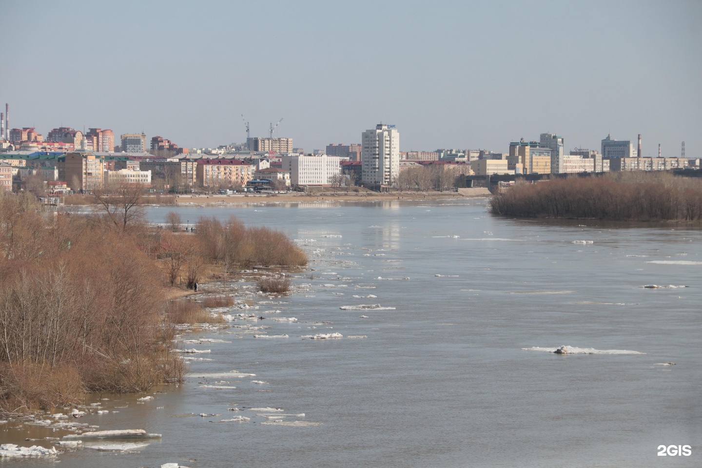 Фаворит, клуб собаководства