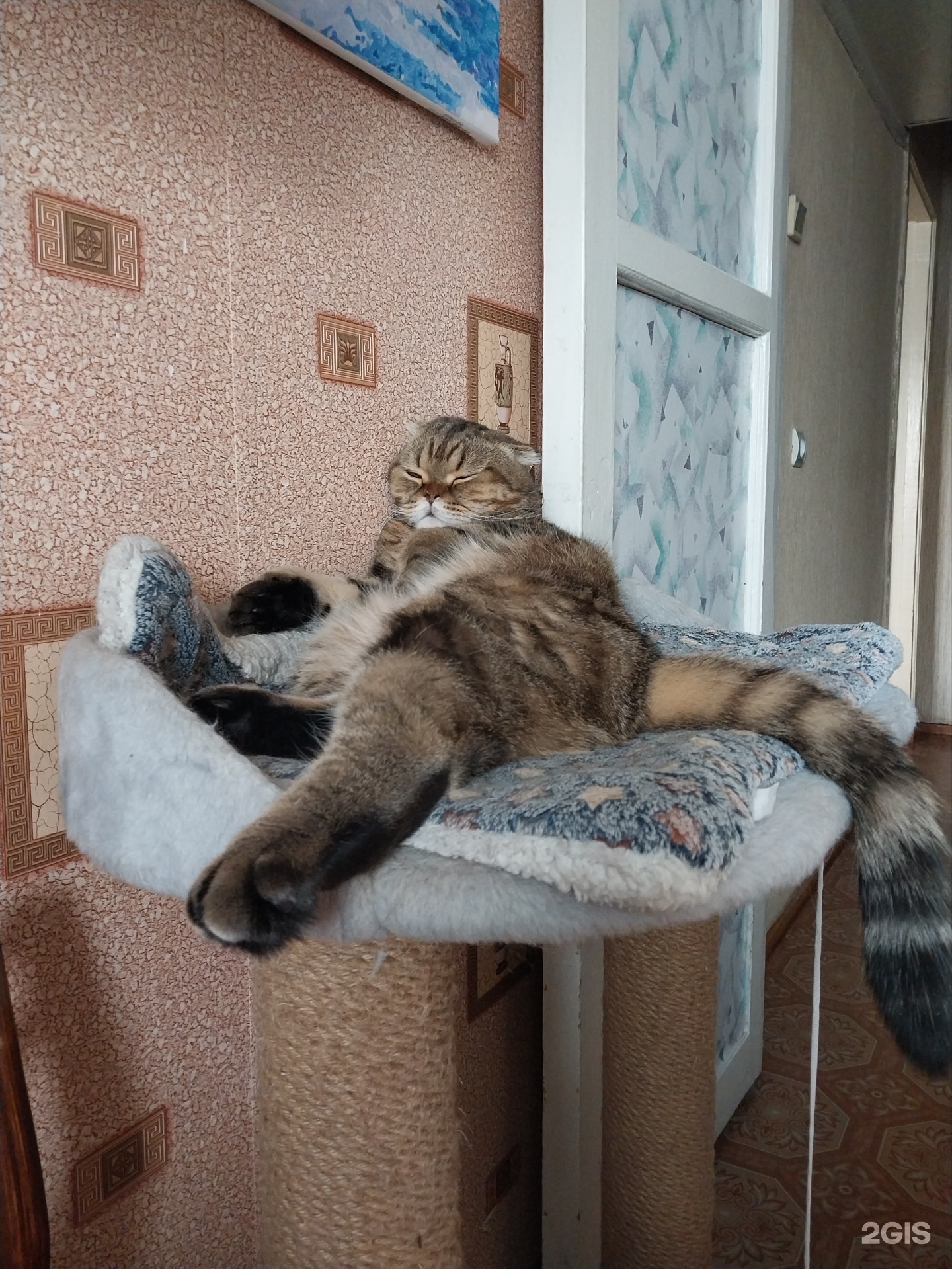 Омский областной центр по профилактике — груминг Омск