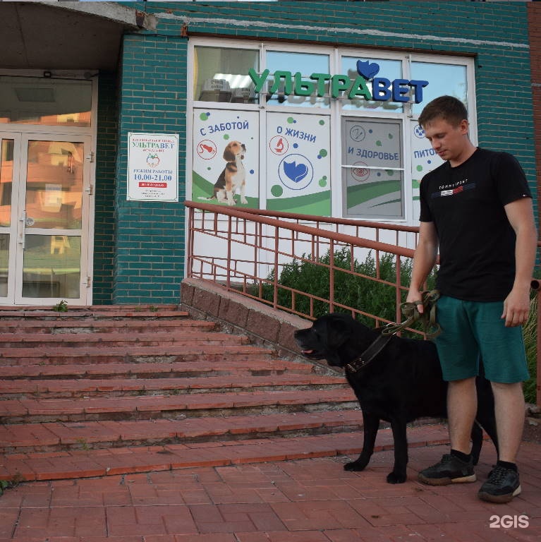 Ультравет, ветеринарная клиника, улица 9-я линия, 193 — груминг Омск