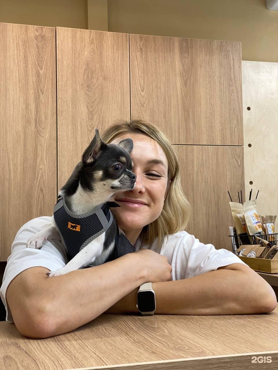 Dog friendly, груминг-салон и SPA для питомцев