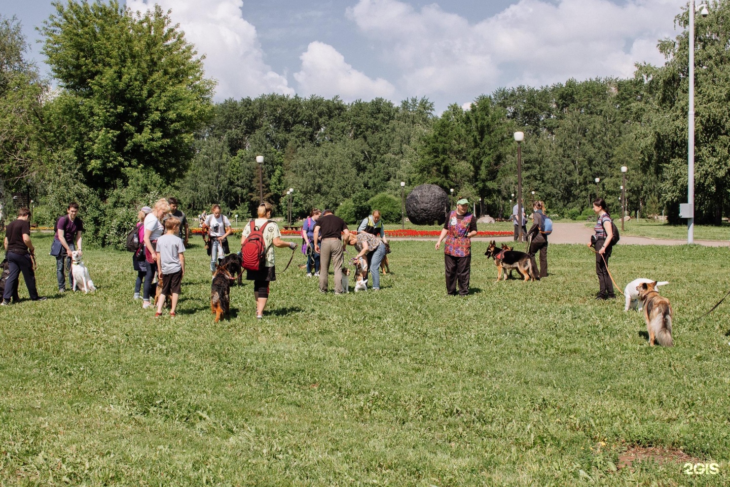 Город собак, кинологический центр