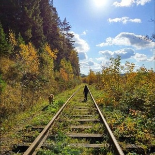 Groom, салон для животных