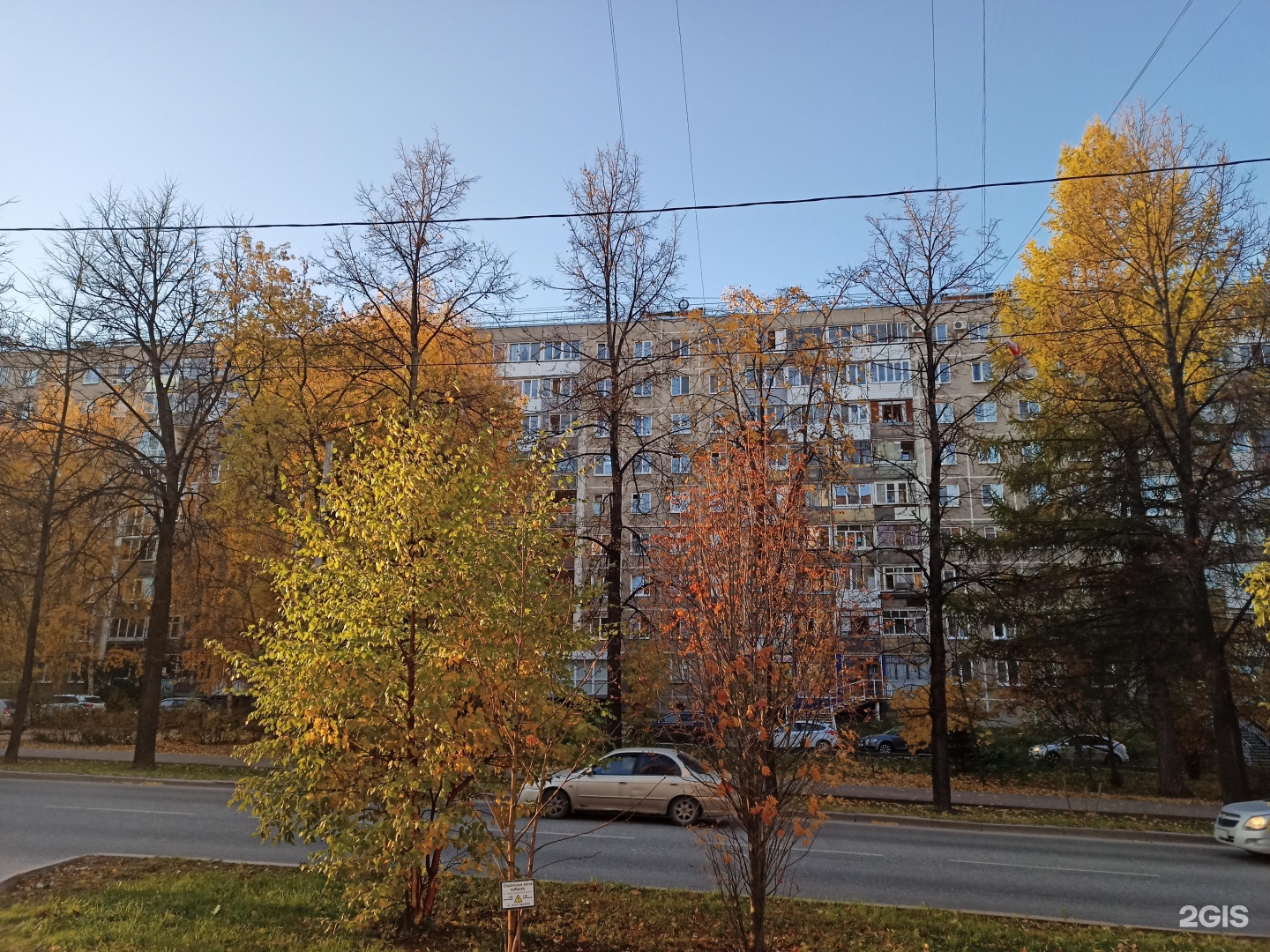 Laika, мастерская груминга