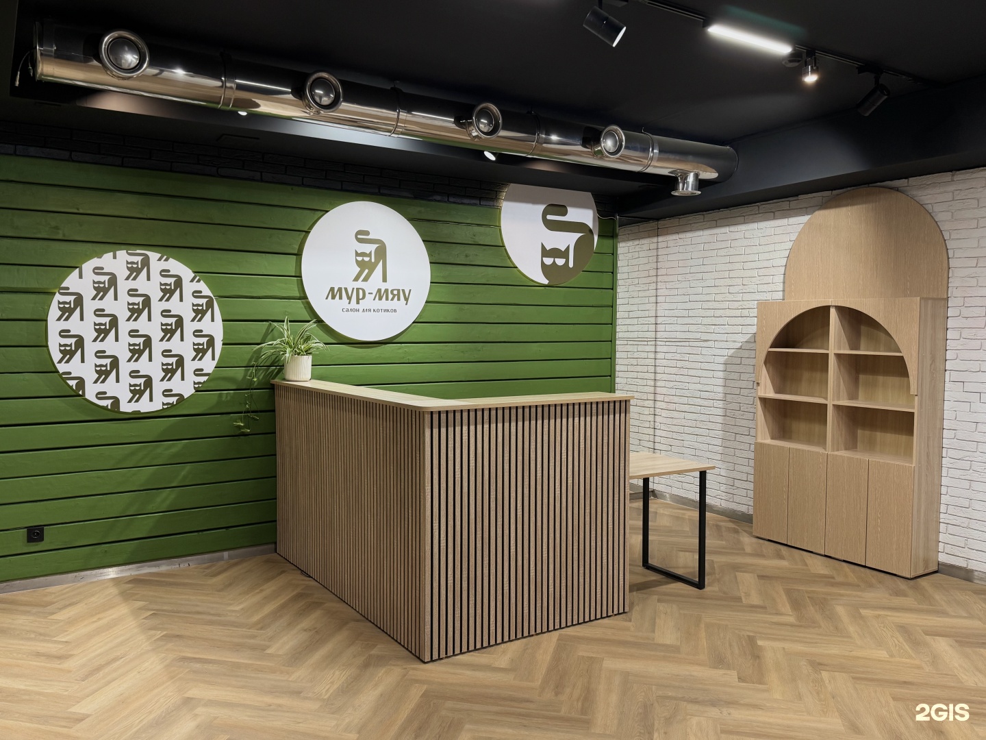 Мур Мяу, груминг-салон для кошек и собак