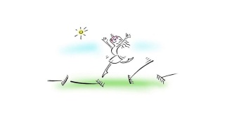 Пэтрушк@, зооцентр