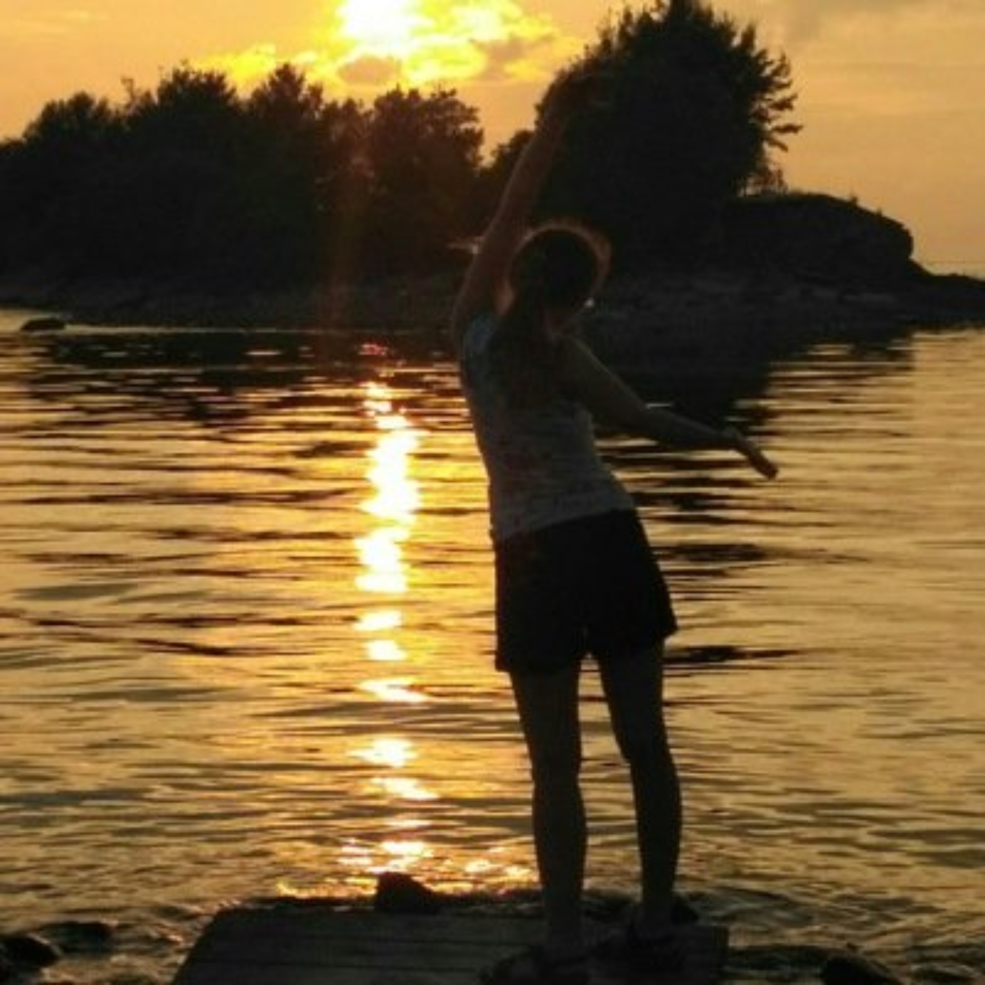 Афф-Вет, многопрофильный ветеринарный центр