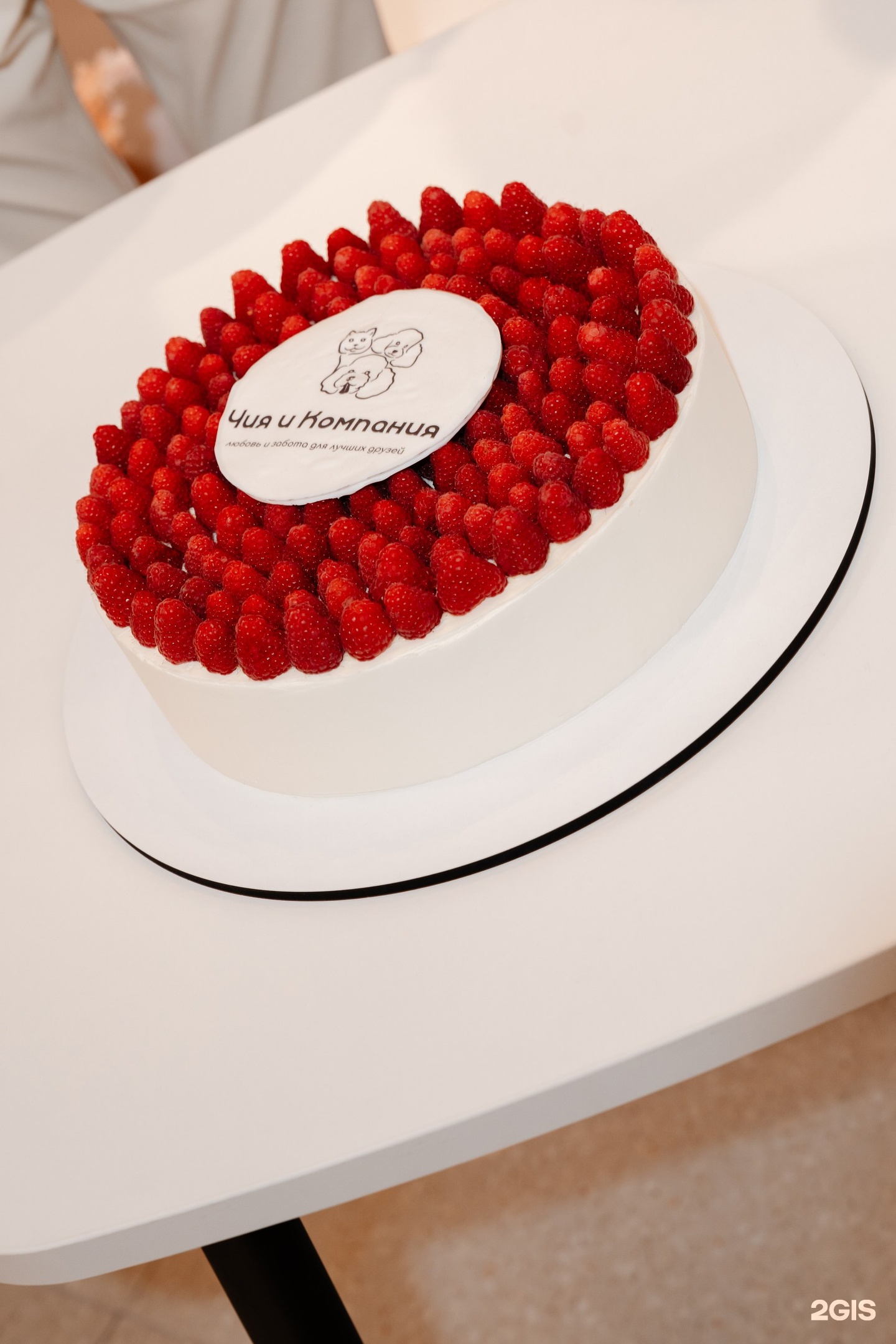 Чия и Компания, пространство заботы о питомцах — груминг Санкт-Петербург