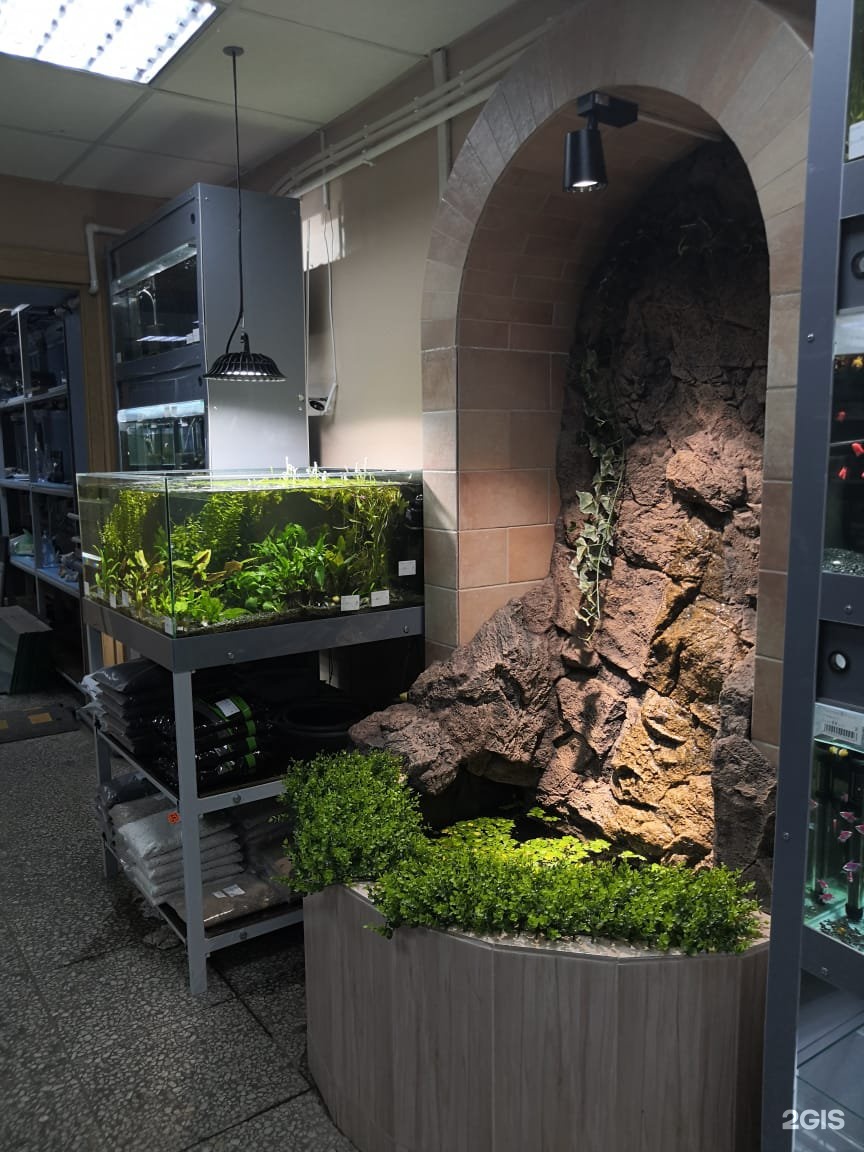 Fishhouse, зоомагазин — груминг Санкт-Петербург