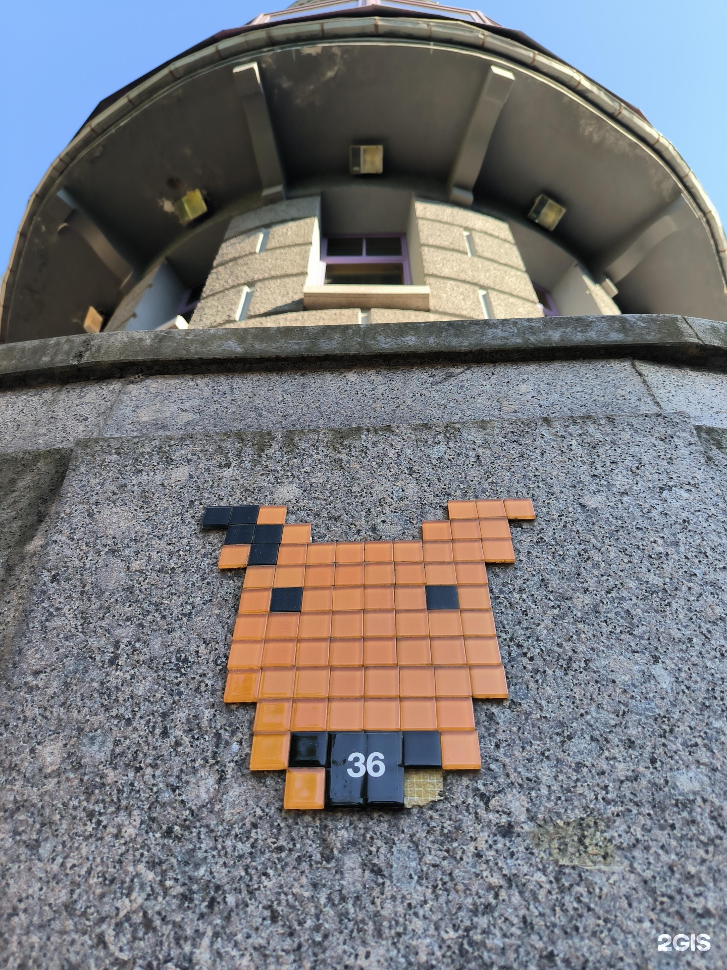 Пэтмаг, зоомагазин — груминг Санкт-Петербург