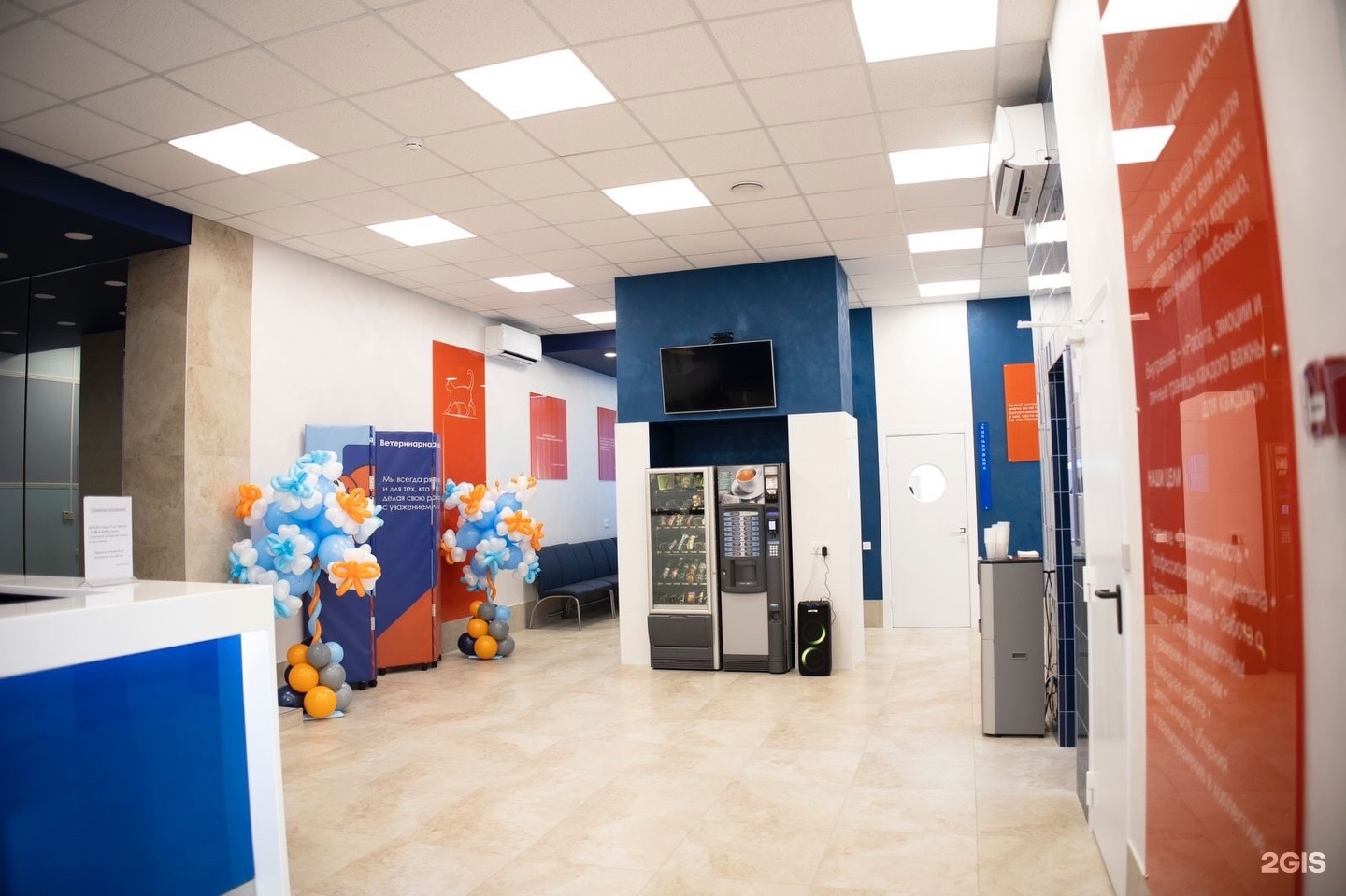 Ветеринарная служба №1, ветеринарная клиника — груминг Санкт-Петербург