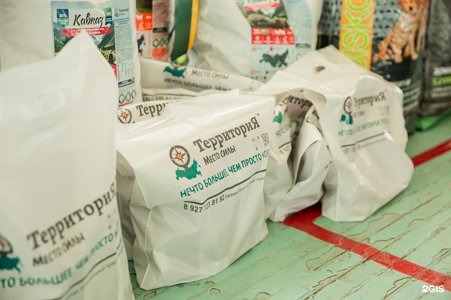 Априори, кинологический клуб — груминг Самара