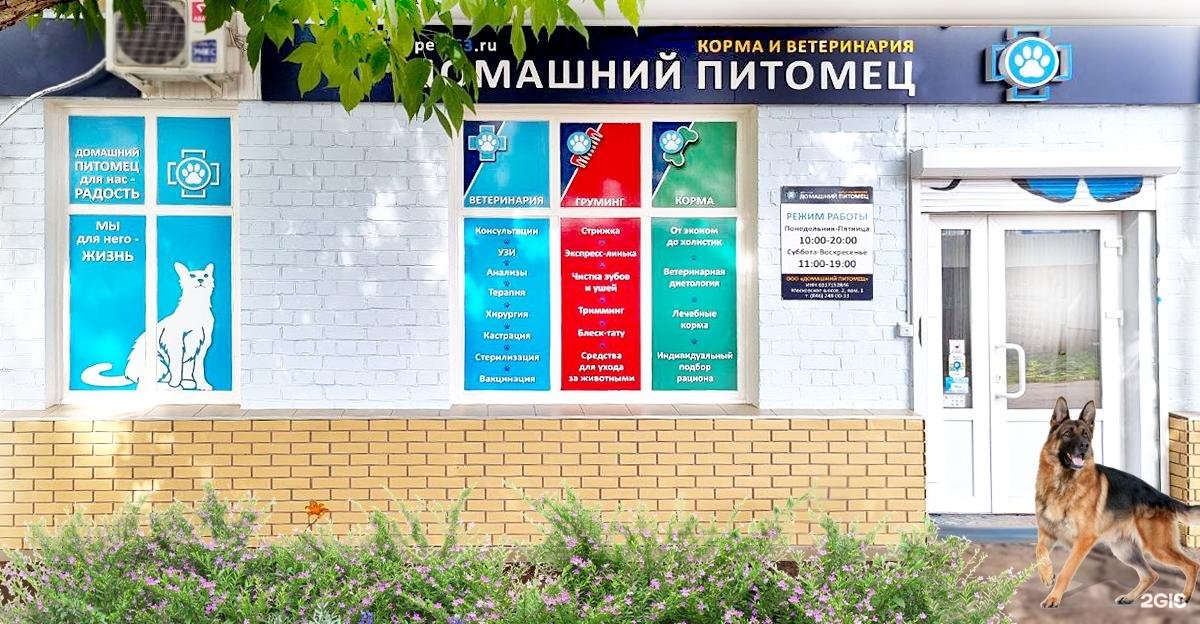 Домашний питомец — груминг Самара