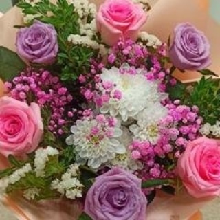 Mr. Dilan, зооцентр-магазин, Казачья