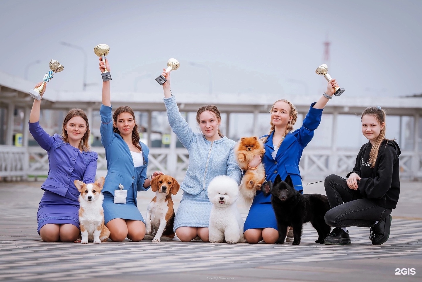 Paradogs — груминг Самара