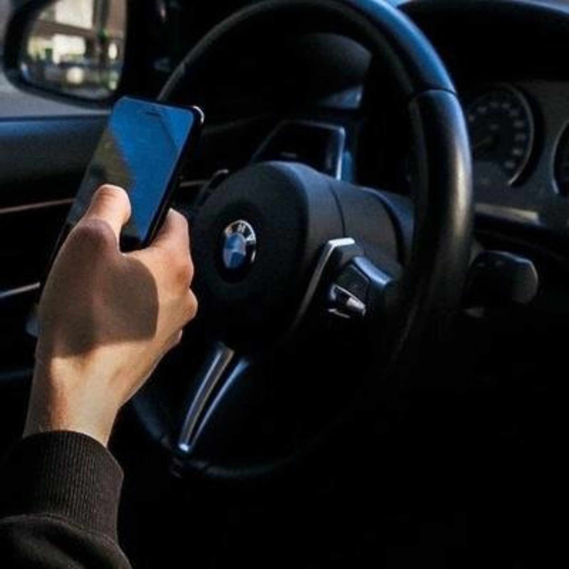 АльфаДог, кинологический центр