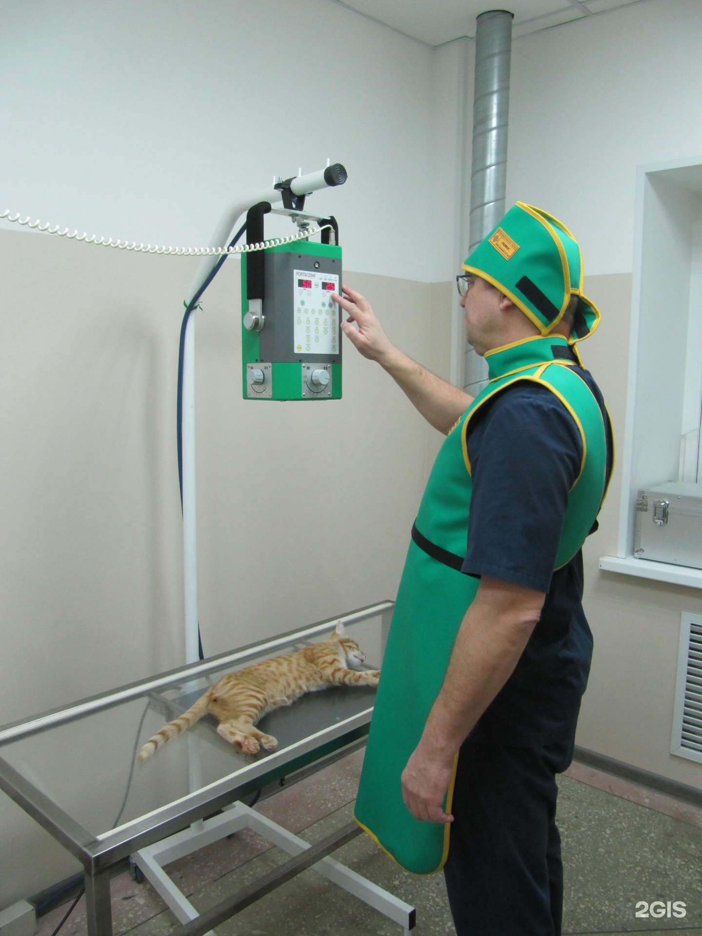 Байга, ветеринарная клиника