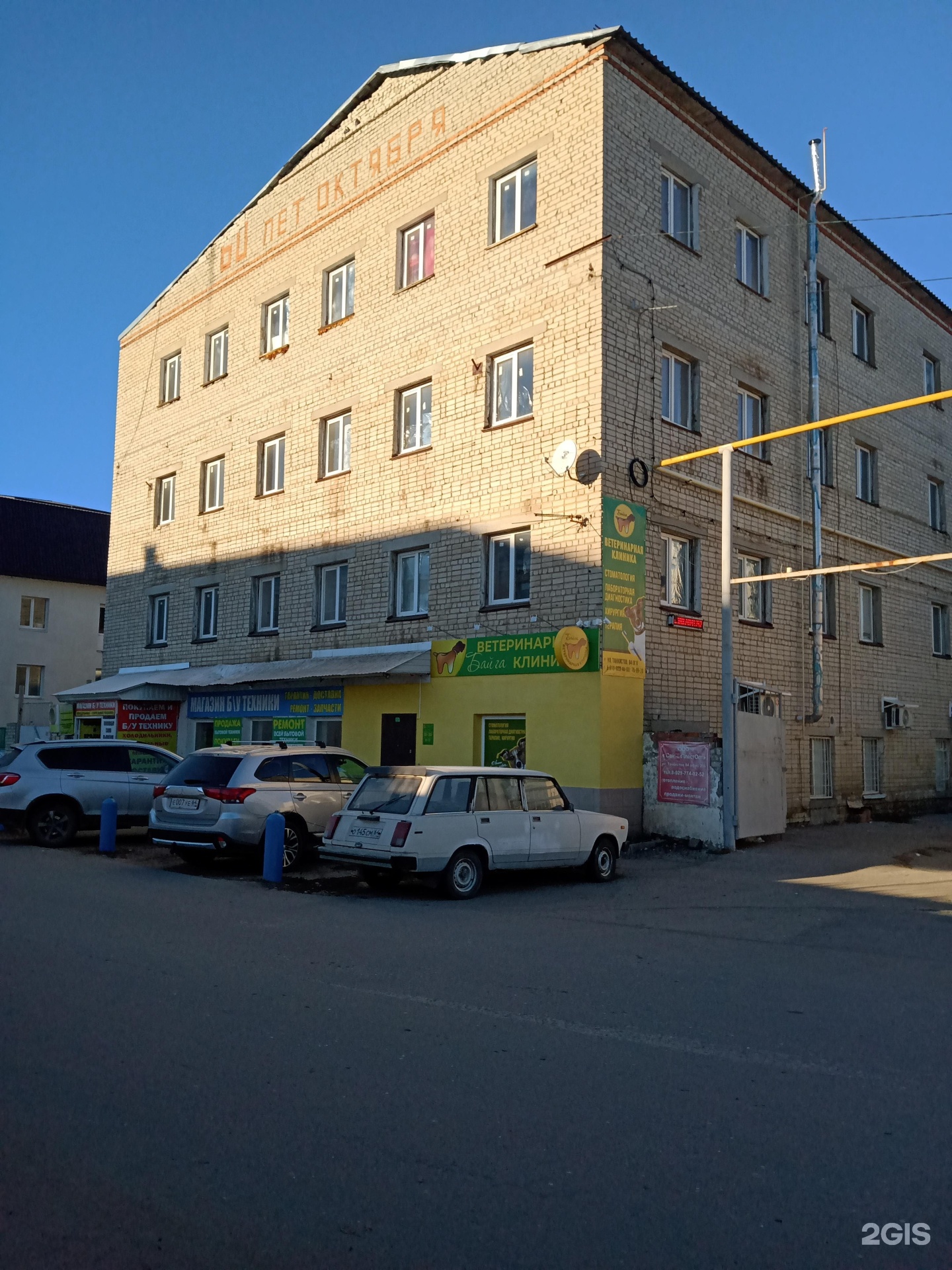 Байга, ветеринарная клиника