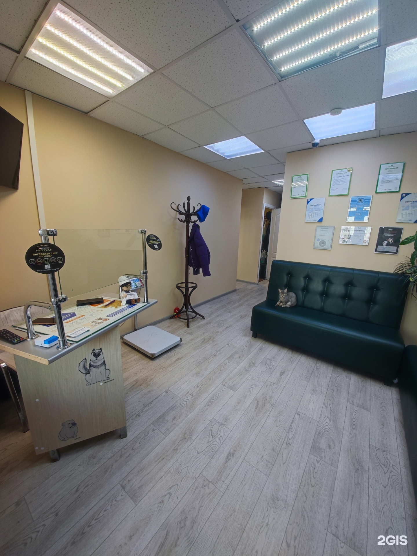 Boni, центр практической ветеринарной медицины